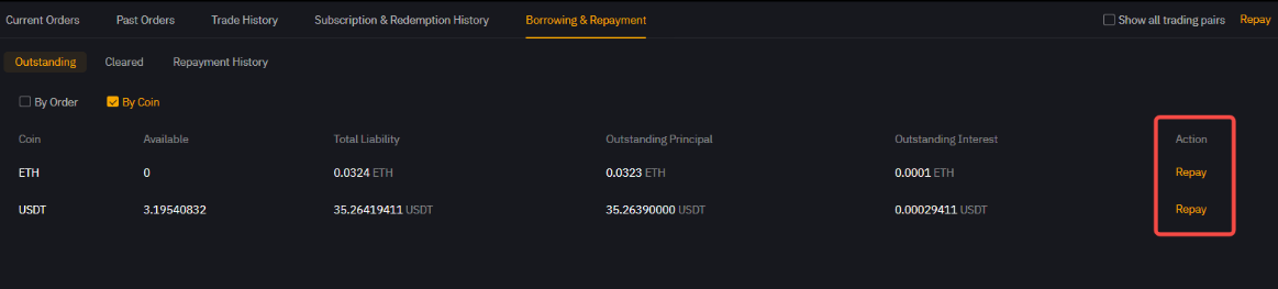 RepayLI 18.png